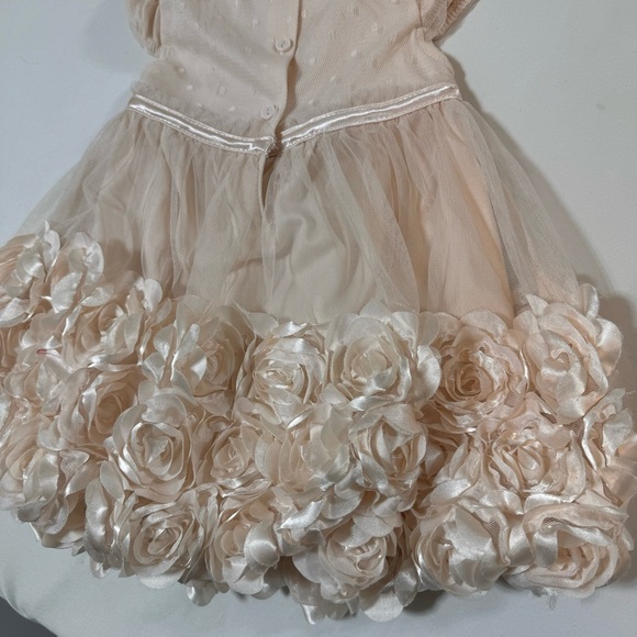Nanette Baby Girl Dress Blush Champagne Pink Flowers 18M - Picture 4 of 9